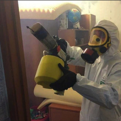 Уничтожение клопов в квартире. Адмиралтейская